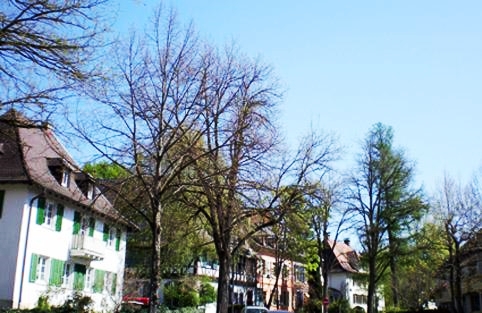 Freiburg Herdern Stechertweg 18